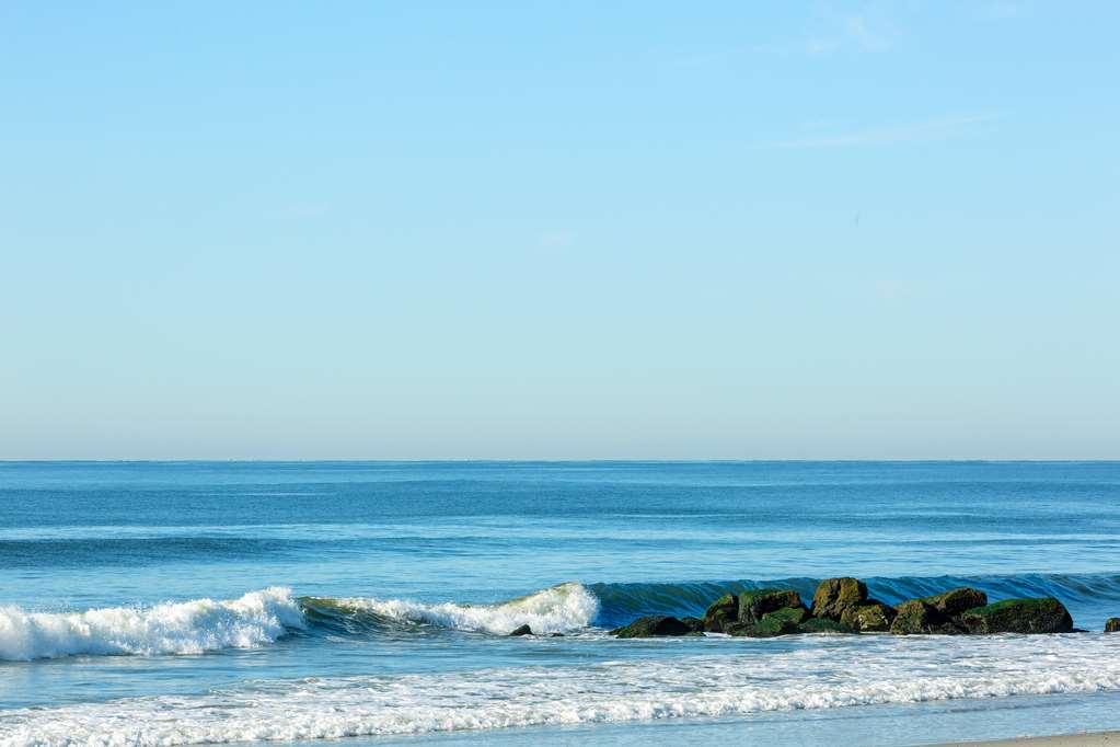 Allegria Hotel Long Beach Natuur foto